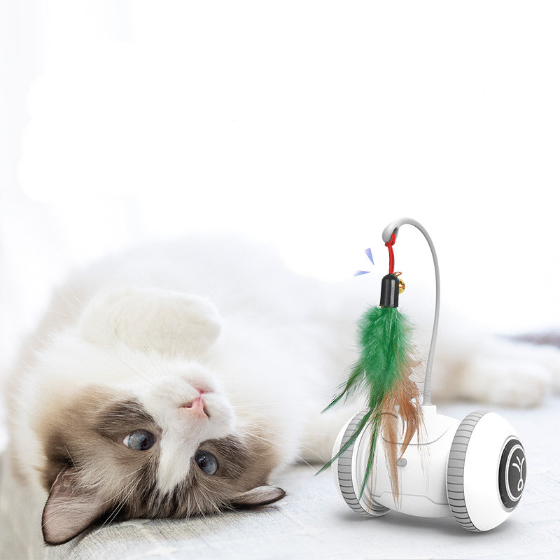 Interactive Cat Toy - With Interchangeable Heads - Robot