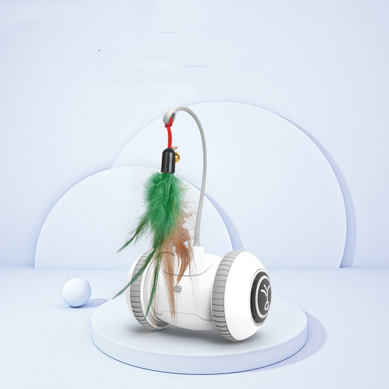 Interactive Cat Toy - With Interchangeable Heads - Robot