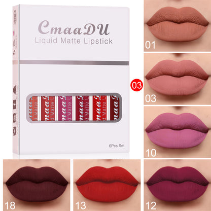 Waterproof Lipstick Long Lasting Lip Gloss