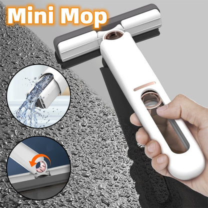 Mini Mops  Cleaning - Multiverse