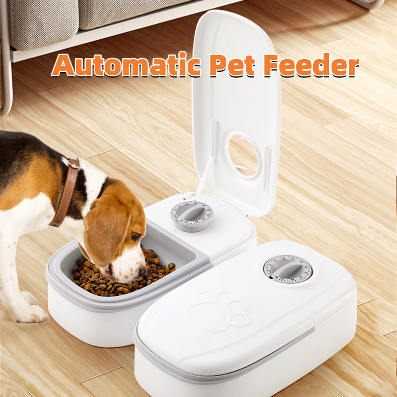 Automatic Pet Feeder Smart