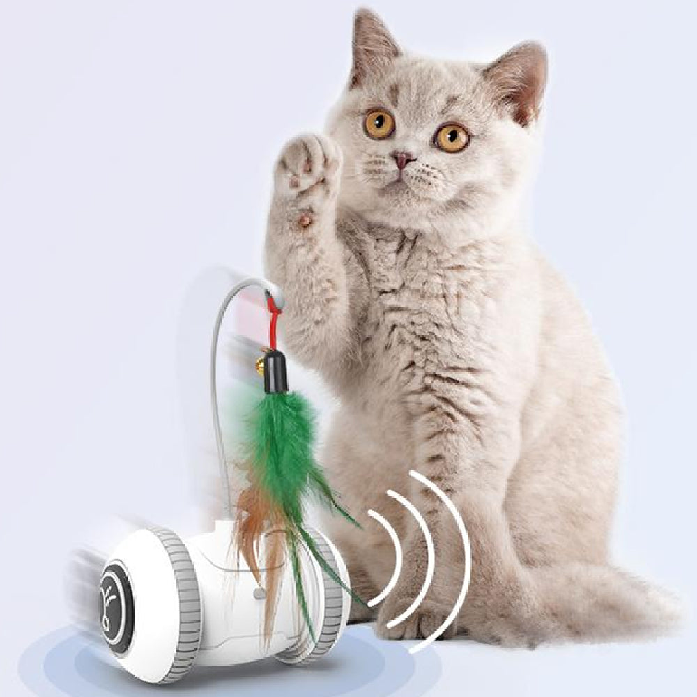 Interactive Cat Toy - With Interchangeable Heads - Robot