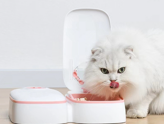 Automatic Pet Feeder Smart