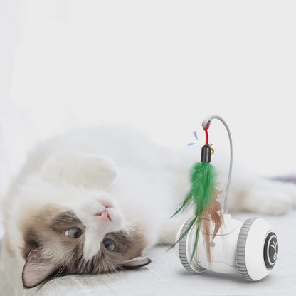 Interactive Cat Toy With Interchangeable Heads Pet Feather Toys